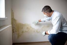 Best Emergency Mold Remediation  in Torrington, CT